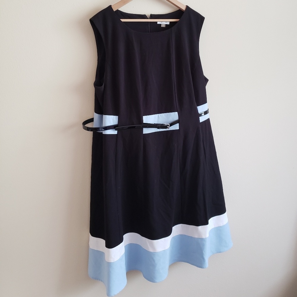 Calvin Klein Professional Dress